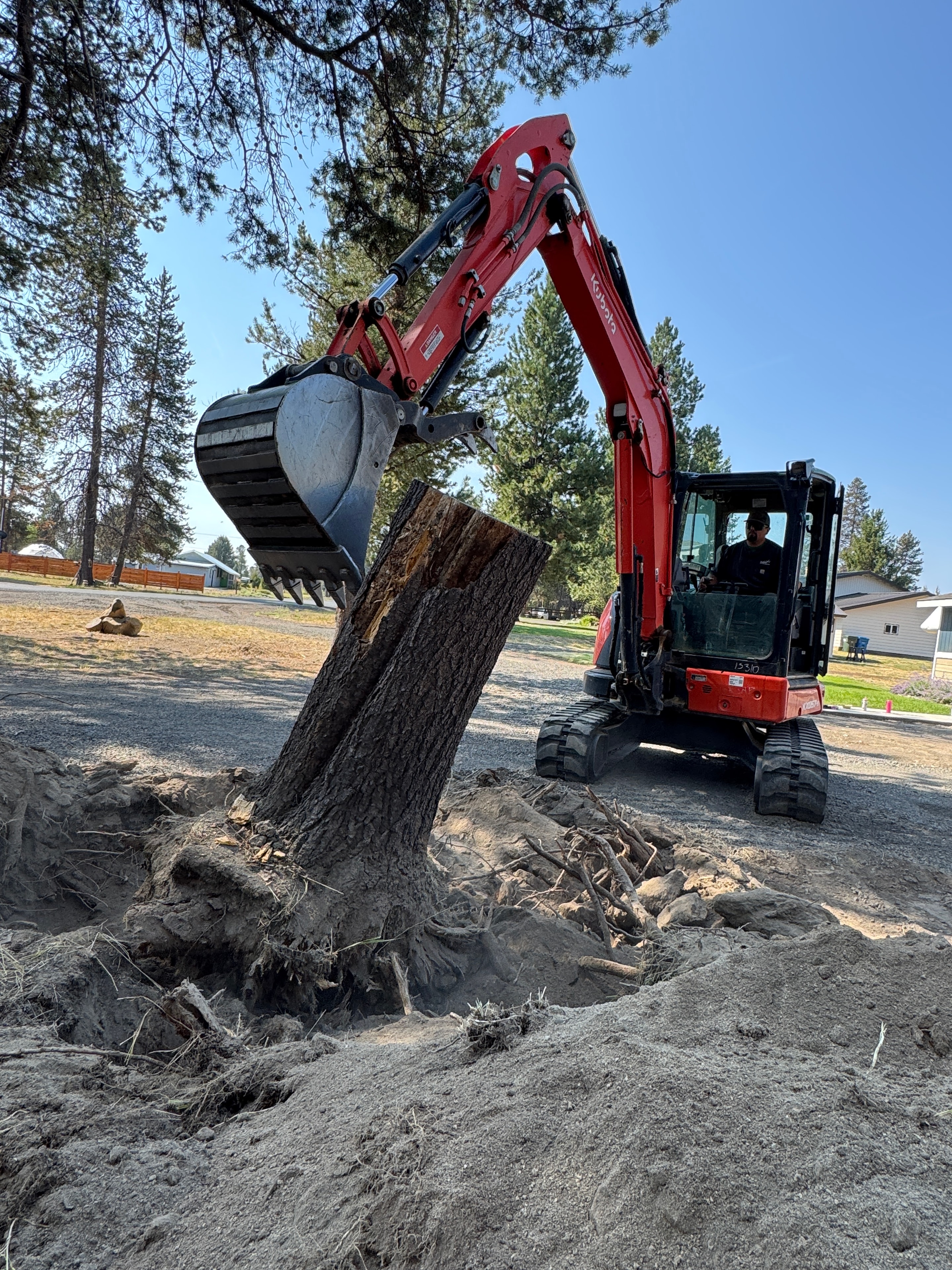 Land Clearing & Tree Removal
